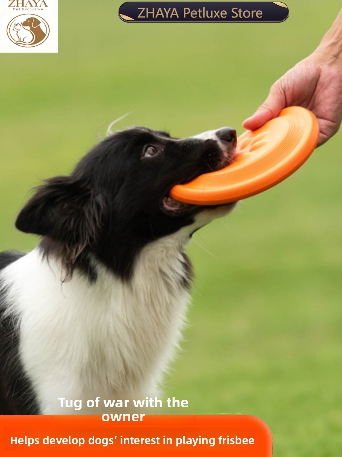 Flying Disc Dog Training Toy - 강아지 플라잉 디스크 부드럽고 내구성이 뛰어난