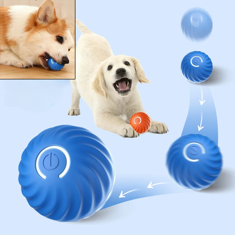 Automatic Moving Dog Ball - 강아지 장난감 공 자동 움직이는 튕기는