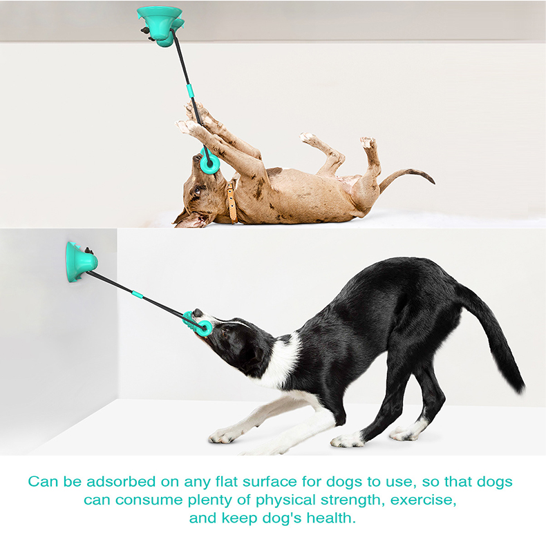 Dog Rope Toy Aggressive Chewers - 이중 흡착판 강아지 씹는 놀이용 로프