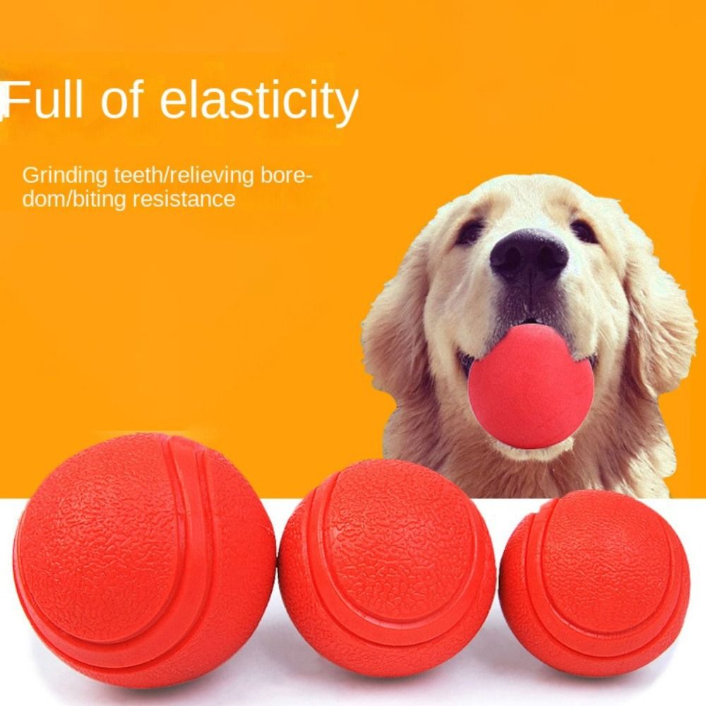 Indestructible Dog Chew Toy - 반려동물 고무 솔리드 볼, 개 훈련