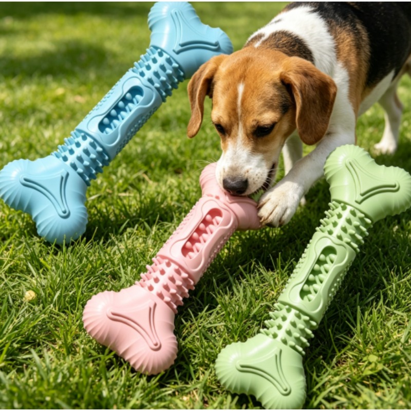 Teeth Cleaning Dog Chew Bone - 새로운 내구성 있는 애완동물 씹는 장난감