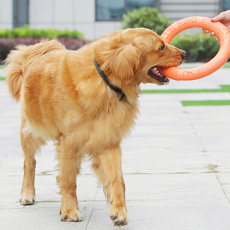 반려동물 플라잉 디스크 훈련 링 풀러, EVA 인터랙티 - Flying Disc Dog Training Toy 리뷰 및 가격