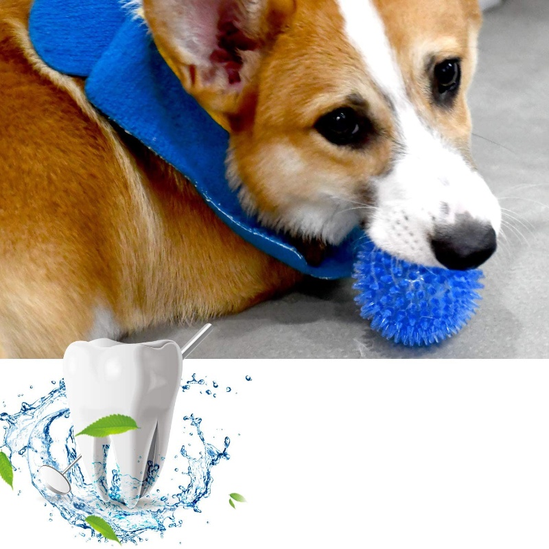고양이와 강아지를 위한 애완동물 장난감 공 - 소리나는 - Indestructible Dog Chew Toy 리뷰 및 가격
