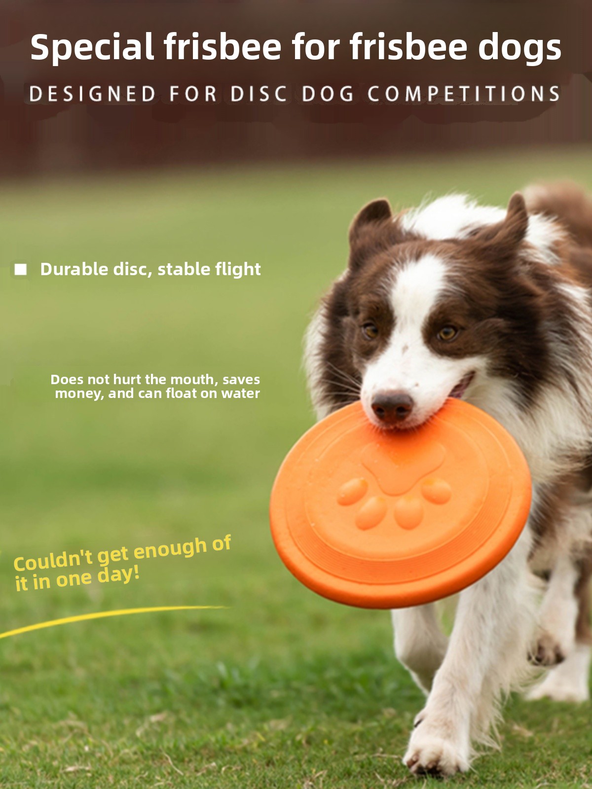 강아지 플라잉 디스크 부드럽고 내구성이 뛰어난 물림 방 - Flying Disc Dog Training Toy 리뷰 및 가격