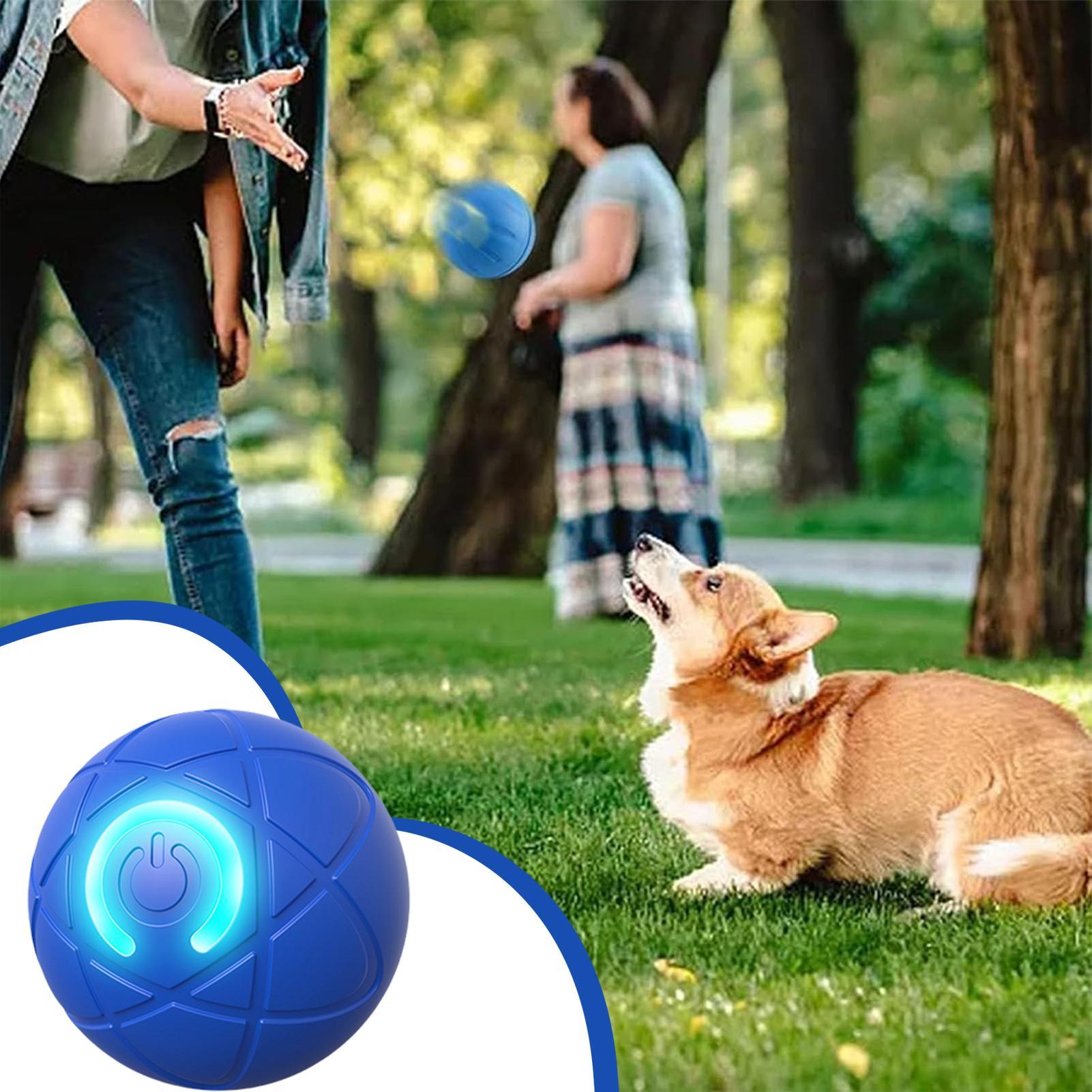 공격적인 씹는 습관을 가진 강아지를 위한 스마트 인터랙 - Automatic Moving Dog Ball 리뷰 및 가격