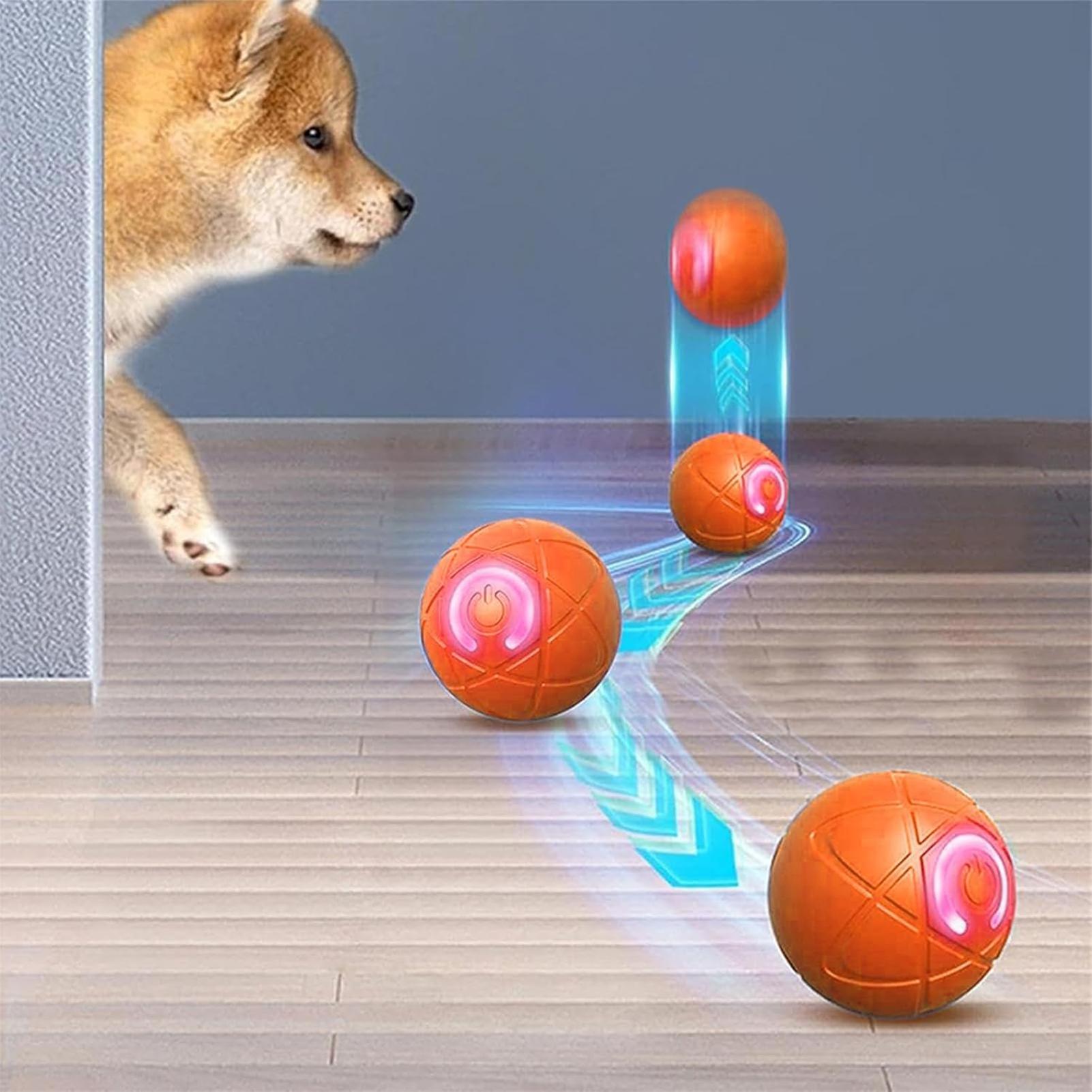 공격적인 씹는 습관을 가진 강아지를 위한 스마트 인터랙 - Automatic Moving Dog Ball 리뷰 및 가격