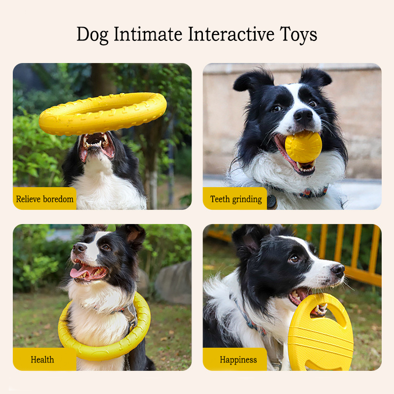 EVA 내구성 개 장난감 4 팩 플라잉 디스크 + 공  - Snuffle Mat For Dogs 리뷰 및 가격