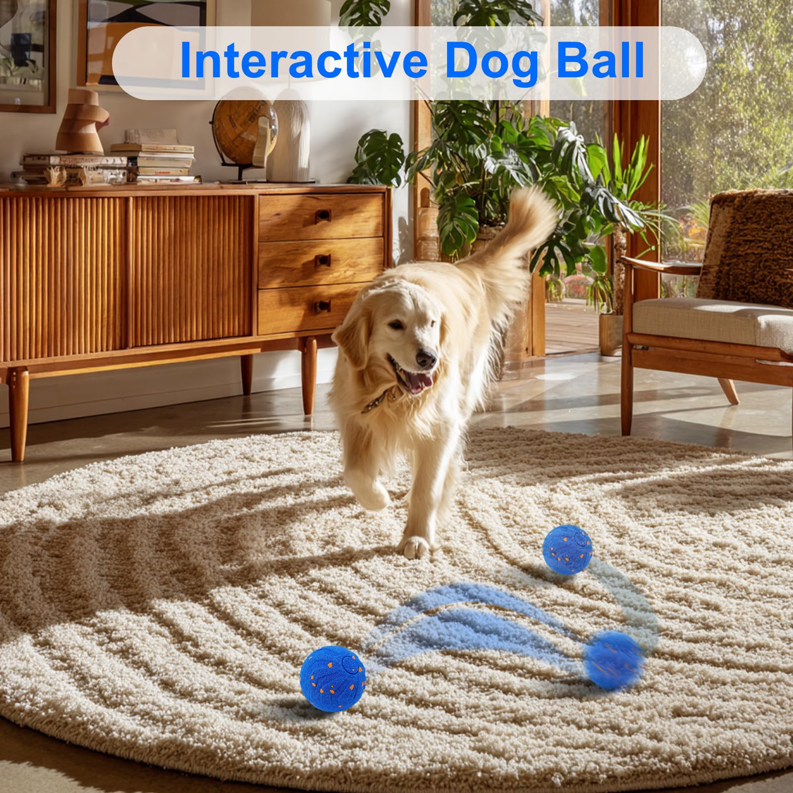 인터랙티브 도그 볼, 자동으로 움직이는 인터랙티브 도그 - Automatic Moving Dog Ball 리뷰 및 가격