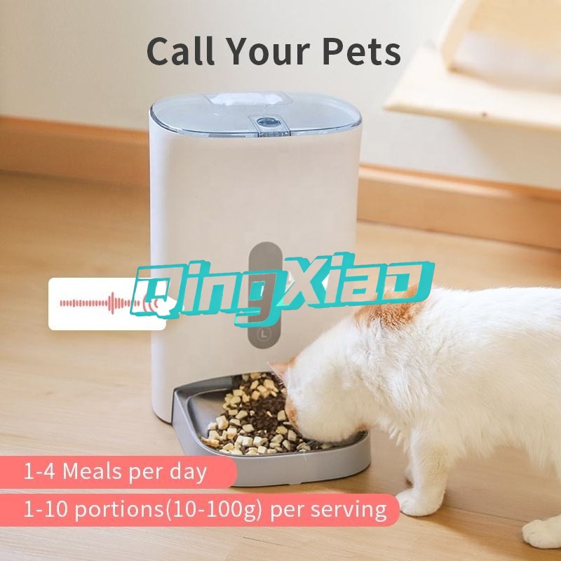 홈 멀티 애완동물 자동 급식기, 고양이와 강아지를 위한 - Pet Feeders 리뷰 및 가격
