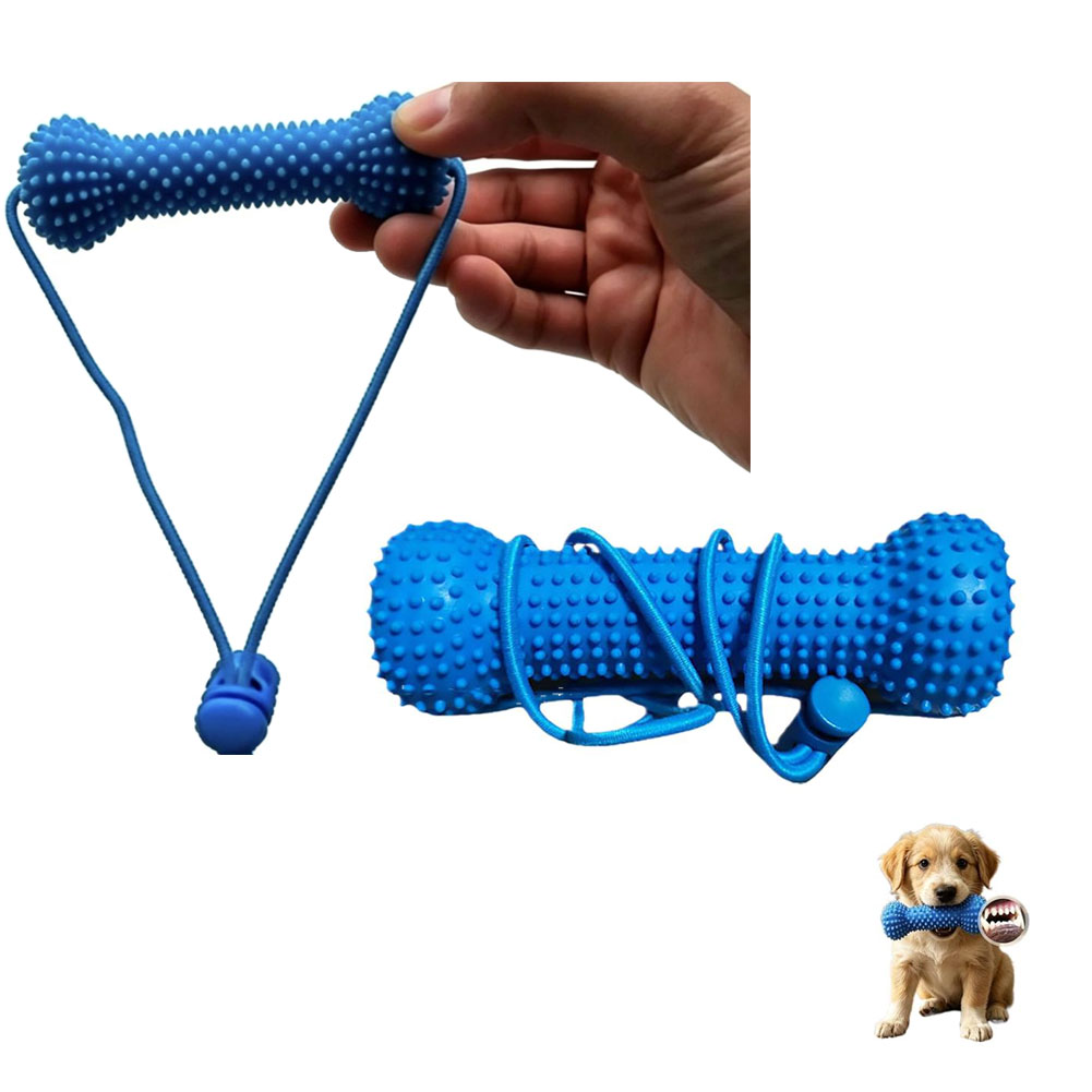 강아지 치아 청소용 씹는 장난감 내구성 있는 재사용 가 - Teeth Cleaning Dog Chew Bone 리뷰 및 가격