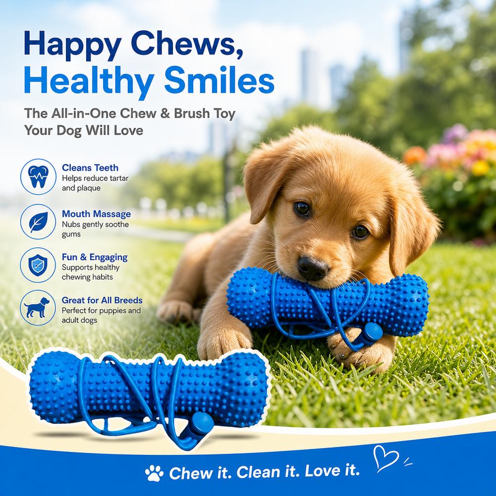 강아지 치아 청소용 씹는 장난감 내구성 있는 재사용 가 - Teeth Cleaning Dog Chew Bone 리뷰 및 가격