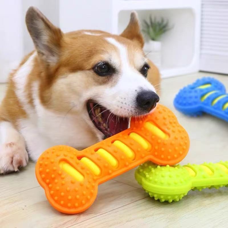 고무 뼈 모양 강아지 어금니 스틱 무독성 치아 세척 씹 - Teeth Cleaning Dog Chew Bone 리뷰 및 가격