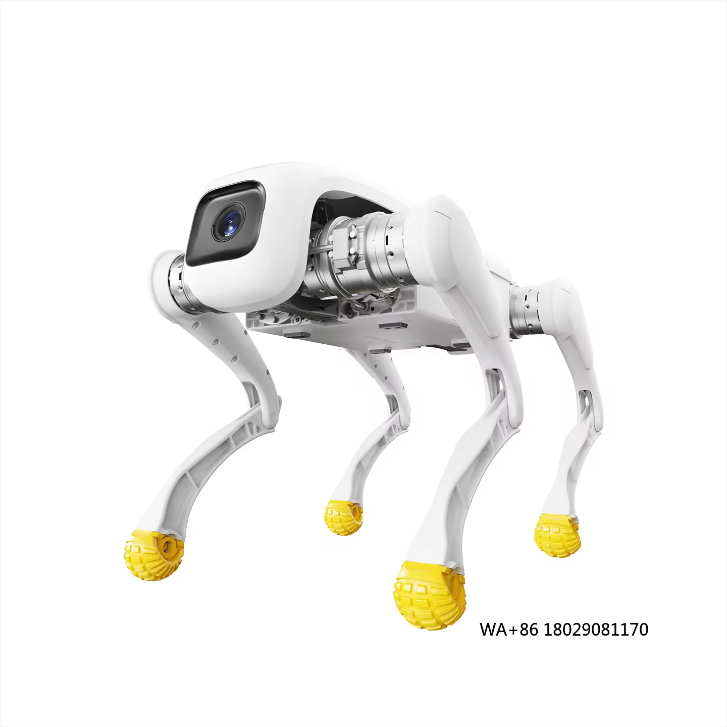 디자인 도그 로봇 AI 전자 로봇 장난감, 금속 구조, - Dog Toys 리뷰 및 가격