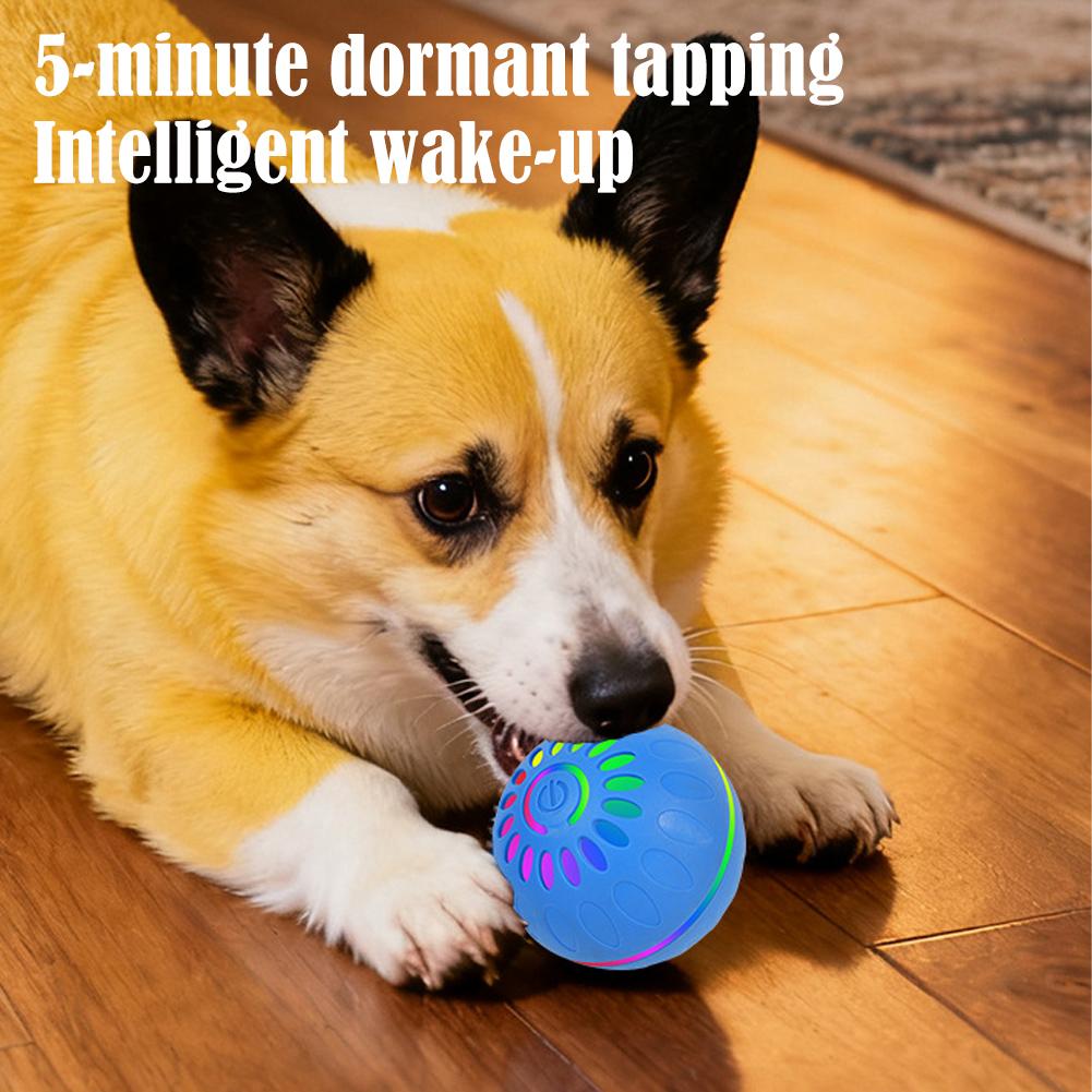 스마트 강아지 장난감 공 자동 인터랙티브 애완동물 전자 - Automatic Moving Dog Ball 리뷰 및 가격