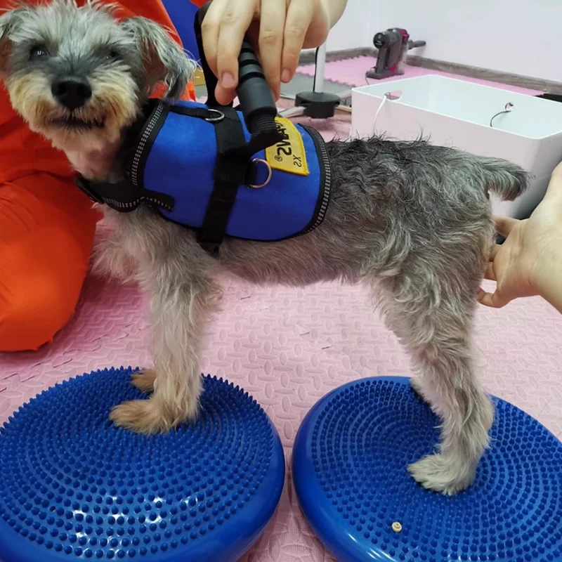 밸런스 비행 쏘서 피트니스 스포츠 개 훈련 보조기구,  - Flying Disc Dog Training Toy 리뷰 및 가격
