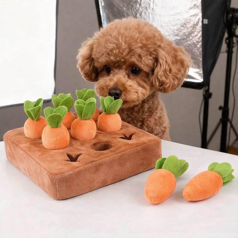 스트레스 해소 당근 스너플 매트, 분리 가능한 당근,  - Snuffle Mat For Dogs 리뷰 및 가격