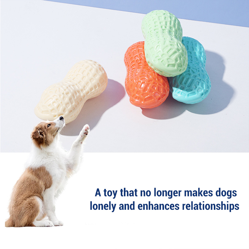 삐걱거리는 땅콩뼈 모양 강아지 씹는 장난감, 내구성 있 - Teeth Cleaning Dog Chew Bone 리뷰 및 가격