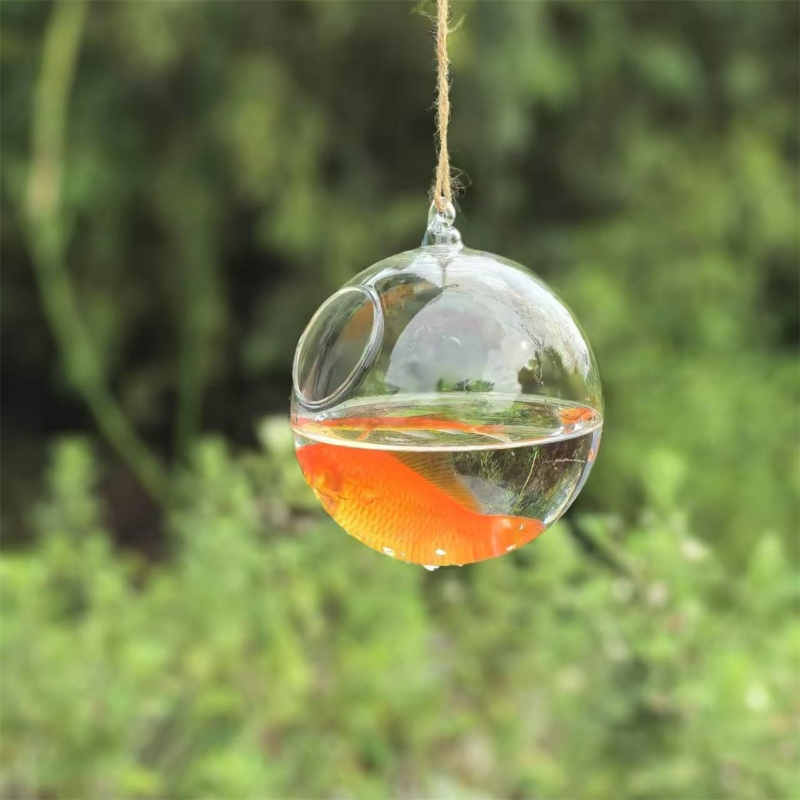 작은 포장 직경=10cm 12cm 15cm 20cm 투 - Aquarium 리뷰 및 가격
