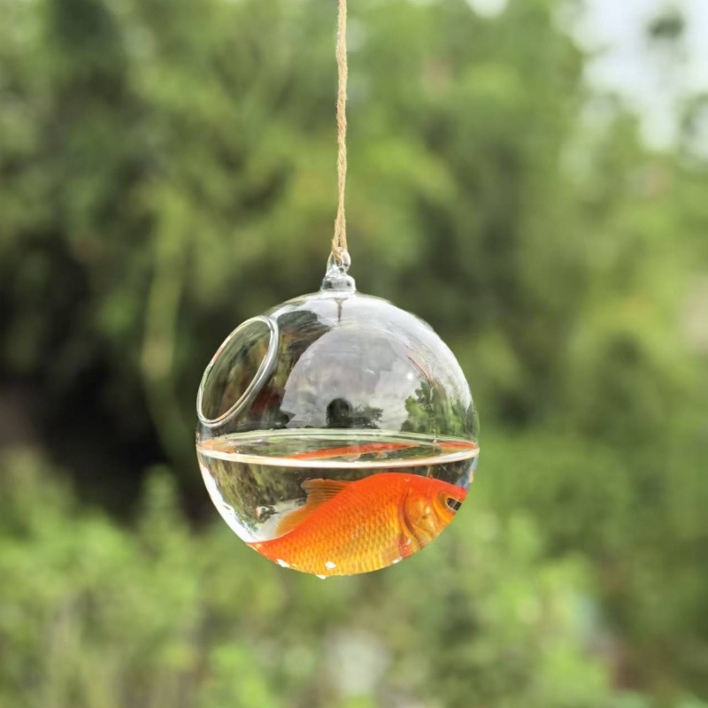 작은 포장 직경=10cm 12cm 15cm 20cm 투 - Aquarium 리뷰 및 가격