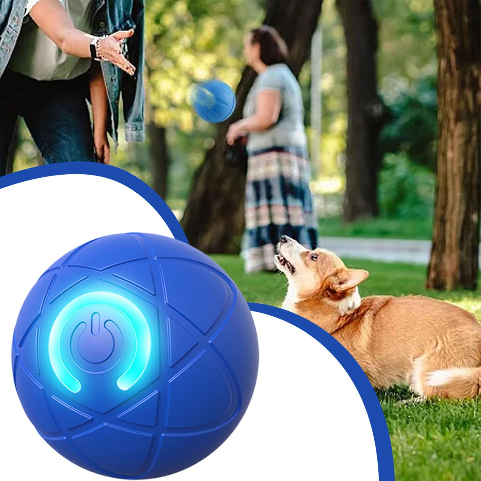 스마트 강아지 장난감 공 전자식 인터랙티브 애완동물 장 - Automatic Moving Dog Ball 리뷰 및 가격