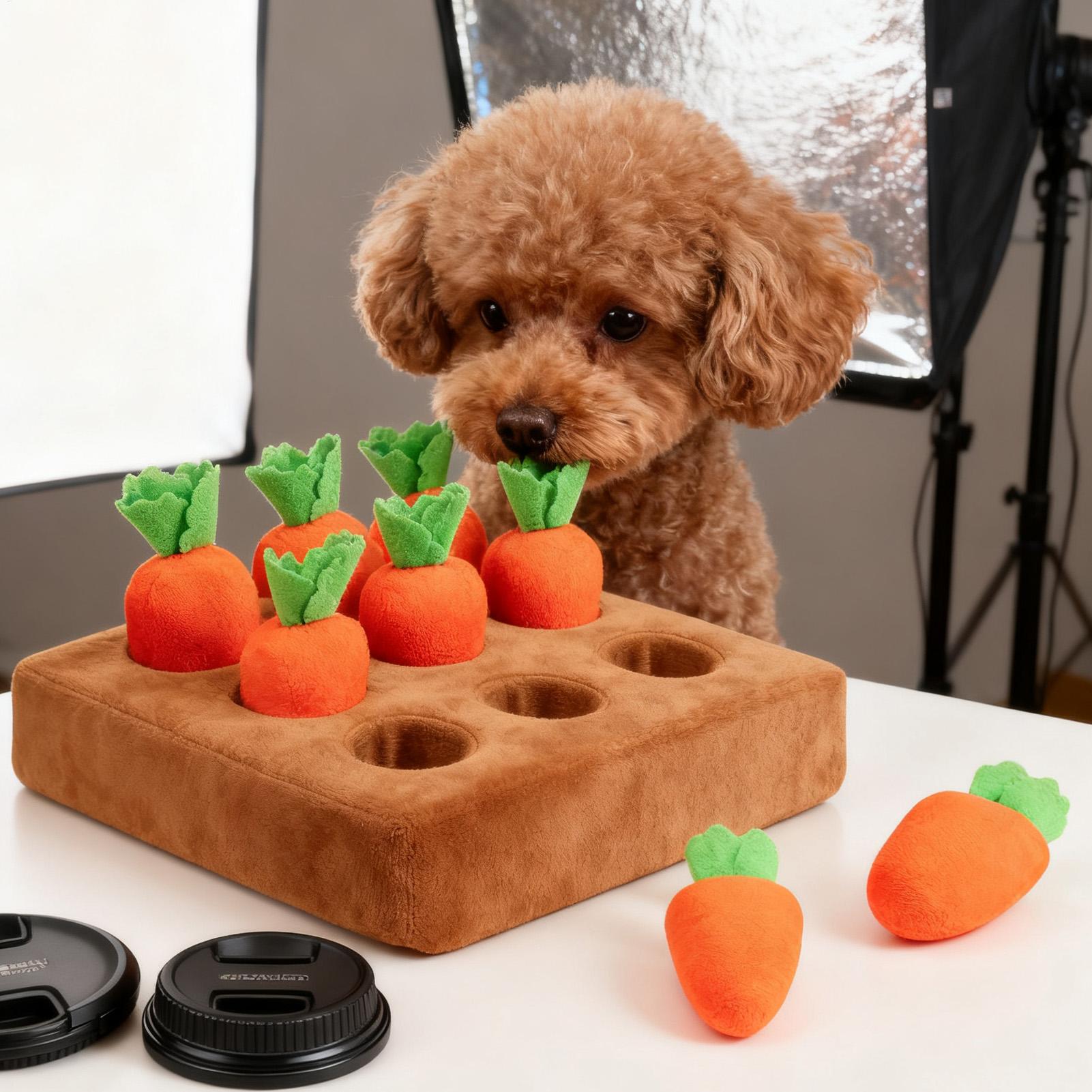 애완동물 당근 인터랙티브 장난감 강아지 장난감 스너플  - Snuffle Mat For Dogs 리뷰 및 가격
