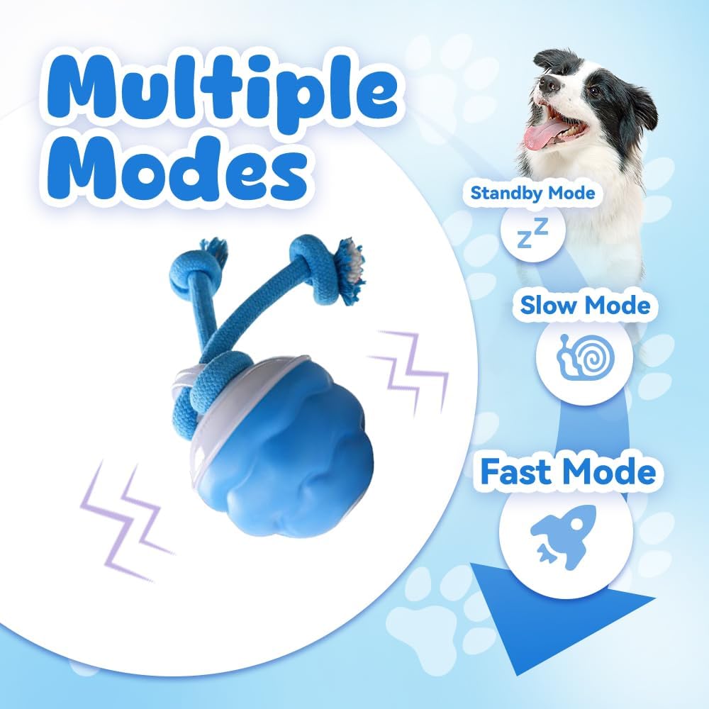 스마트 강아지 장난감, 자동 움직이는 공, 충전식 강아 - Automatic Moving Dog Ball 리뷰 및 가격