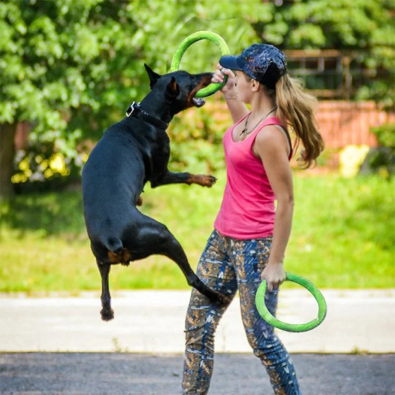 애완 동물 플라잉 디스크 EVA 개 훈련 링 풀러, 반 - Flying Disc Dog Training Toy 리뷰 및 가격