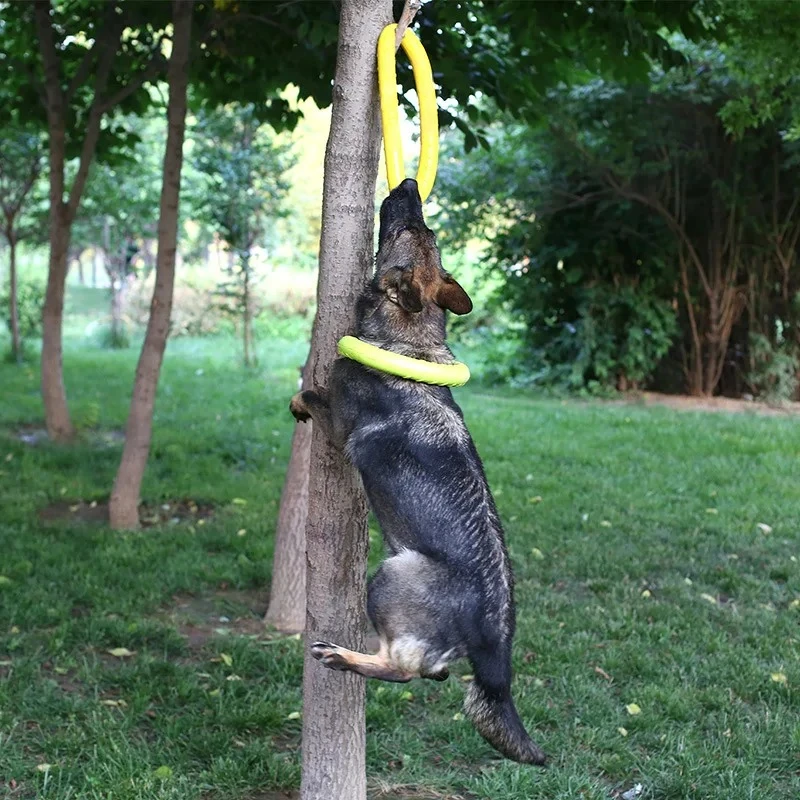 강아지 장난감 애완견 플라잉 디스크 EVA 강아지 훈련 - Flying Disc Dog Training Toy 리뷰 및 가격
