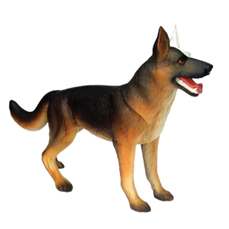 동물 장기 해부학 모델 4D 개 지능 조립 장난감 교육 - Dog Toys 리뷰 및 가격