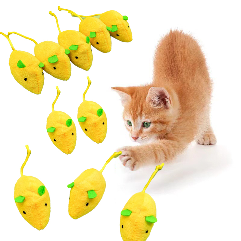 고양이 마우스 장난감, 고양이용 인터랙티브 캣닙 애완동 - Catnip Interactive Plush Mouse 리뷰 및 가격