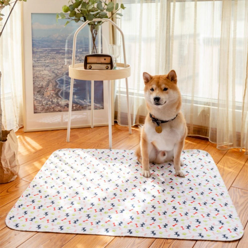 내구성 있는 초흡수 애완동물 침대 매트 재사용 가능 세 - Pet Beds 리뷰 및 가격