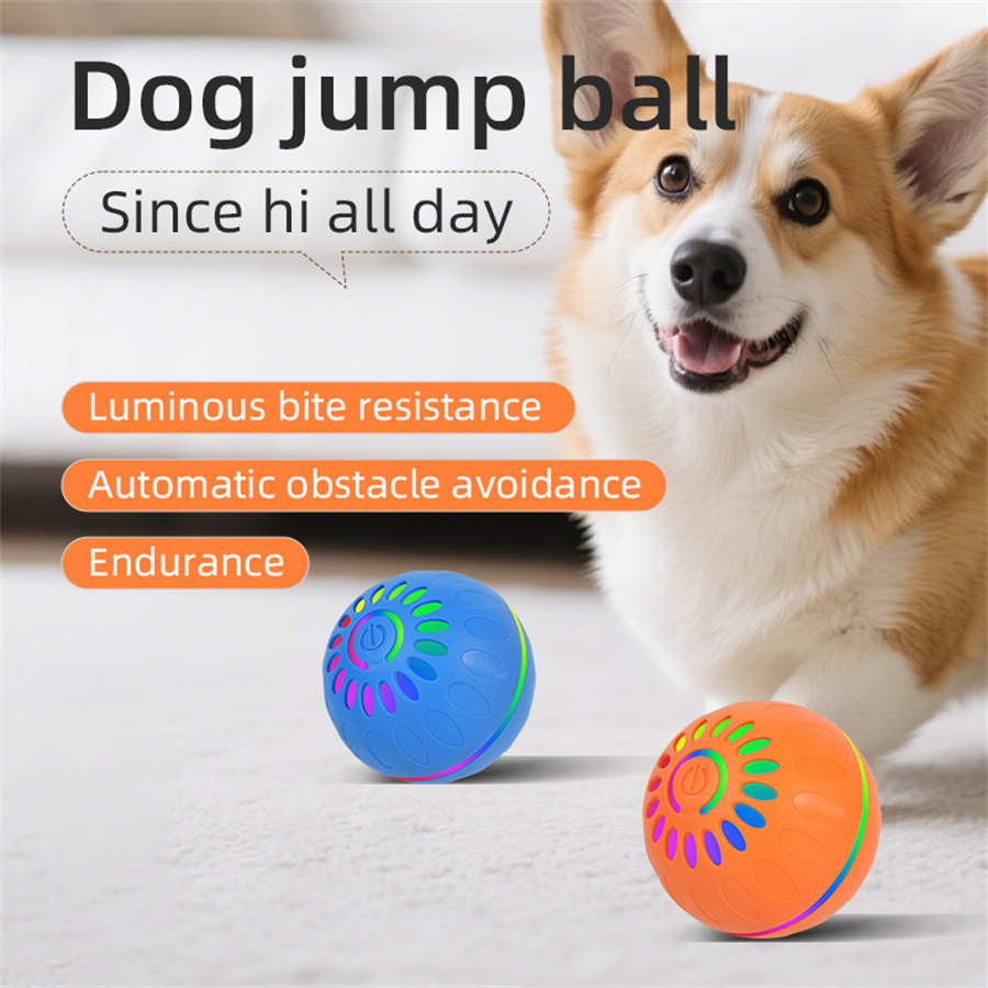 인터랙티브 스마트 강아지 장난감 공 - USB 자동 움 - Automatic Moving Dog Ball 리뷰 및 가격