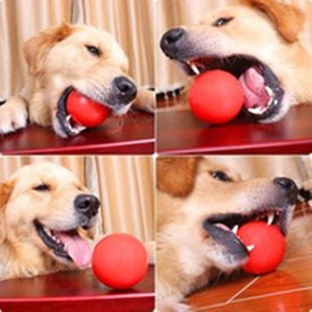 반려동물 고무 솔리드 볼, 개 훈련 탄력 어금니 볼,  - Indestructible Dog Chew Toy 리뷰 및 가격