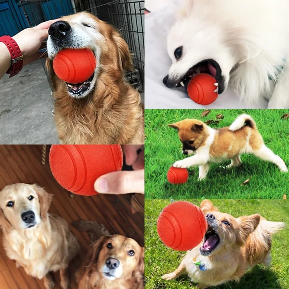 반려동물 고무 솔리드 볼, 개 훈련 탄력 어금니 볼,  - Indestructible Dog Chew Toy 리뷰 및 가격